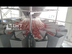 অটো থার্মোফর্মিং ভ্যাকুয়াম প্যাকিং মেশিন সম্পূর্ণ স্যাচেট প্যাকেজিং লাইন