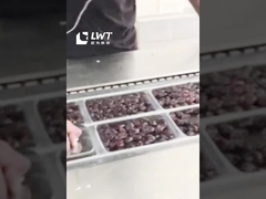 তারিখ প্যাকেজিং উৎপাদন লাইন স্বয়ংক্রিয় তারিখ প্রসারিত ফিল্ম ভ্যাকুয়াম প্যাকেজিং মেশিন