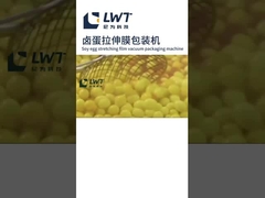 ভ্যাকুয়াম প্যাকেজিং মেশিন