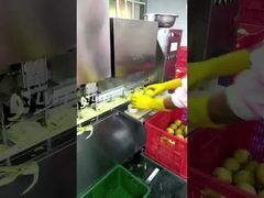 লিডওয়ার্ল্ড ক্যানড ফলের উৎপাদন লাইন ক্যানড পিয়ার প্রক্রিয়াকরণ লাইন