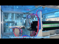 2400BPH বাক্সযুক্ত চিকেনফিলিং উৎপাদন লাইন CE