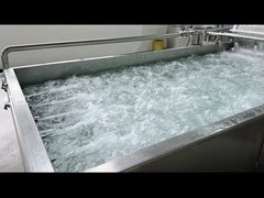 উদ্ভিজ্জ ওয়াশিং মেশিন